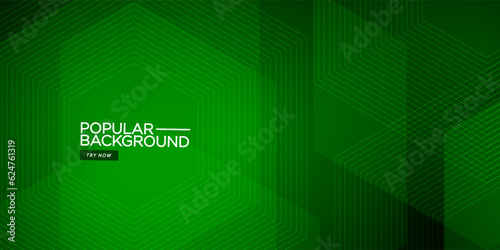Trendy dark green vector background with hexagon lines. Hexagonal colorful illustration with simple pattern. Smart design for your promotions. Eps10 vector