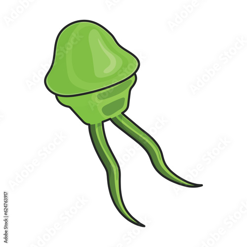 Plankton vector icon.Color vector icon isolated on white background plankton.