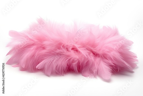 pink feather isolated on white background
