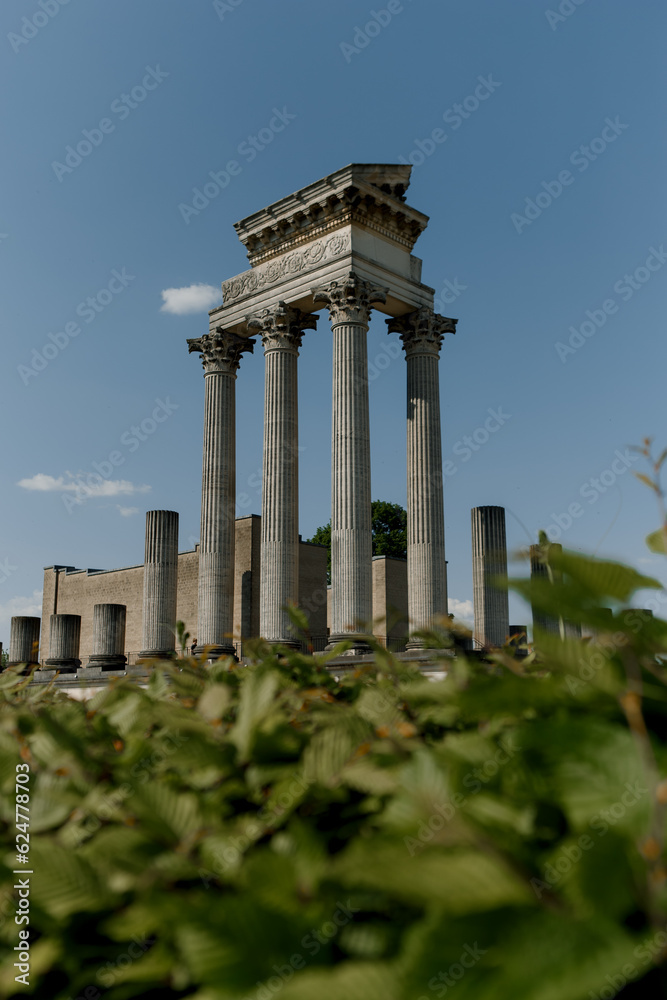 roman greek ancient architecture large columns fauna