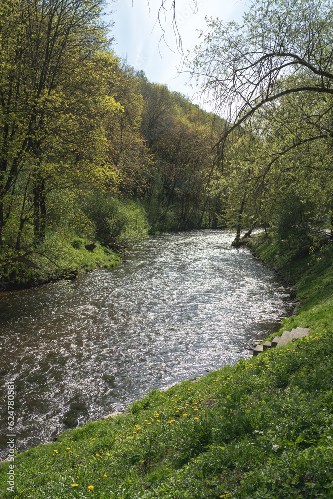 Scenic view of the river between the trees in the forest, the rushing waters of spring. Scenic view of the river between the trees in the forest, the rushing waters of spring.