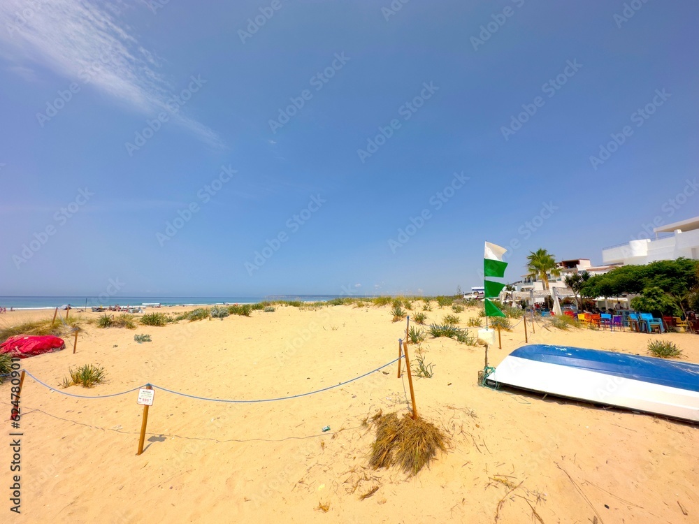 extensive wide sandy beach and dunes in Zahara de los Atunes at a beautiful summer day and blue sky, Playa del Cabo de la Plata, Andalusia, province of Cádiz, Spain