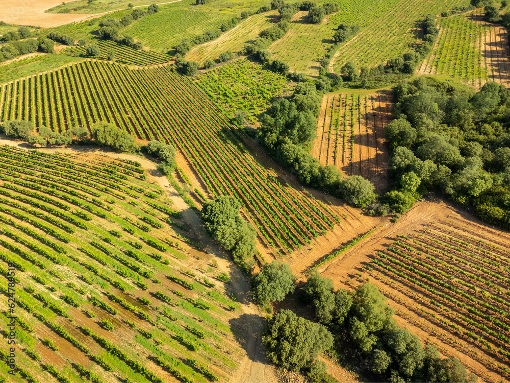 Aerial View ofVineyards in Rioja, Spain