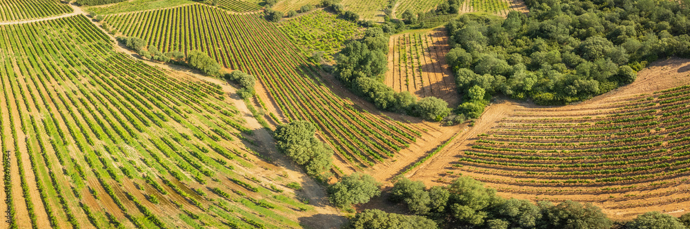 Panoramic Aerial View ofVineyards in Rioja, Spain