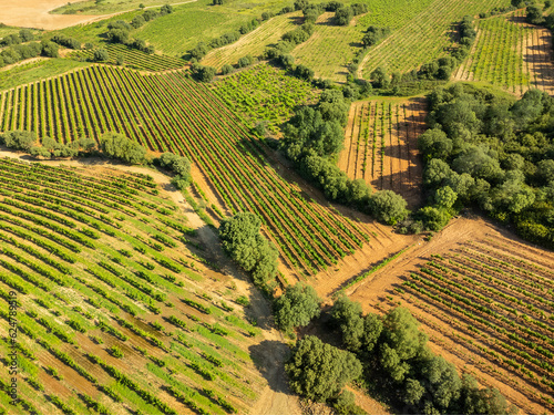 Obraz na płótnie Aerial View ofVineyards in Rioja, Spain w salonie