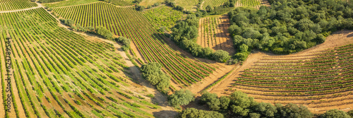 Obraz na płótnie Panoramic Aerial View ofVineyards in Rioja, Spain w salonie