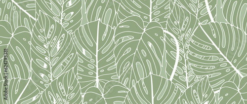 Green tropical background with different monstera leaves. Botanical background for decor, wallpapers, postcards, social media posts, presentations