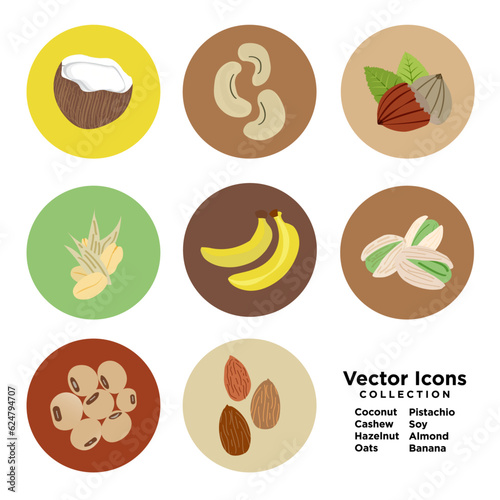 Set of Healthy food Vector Icons. Coconut, cashew, hazelnut, oats, pistachio, soy, almond, banana. Sources of healthy dairy-free milk sources. EPS 10.