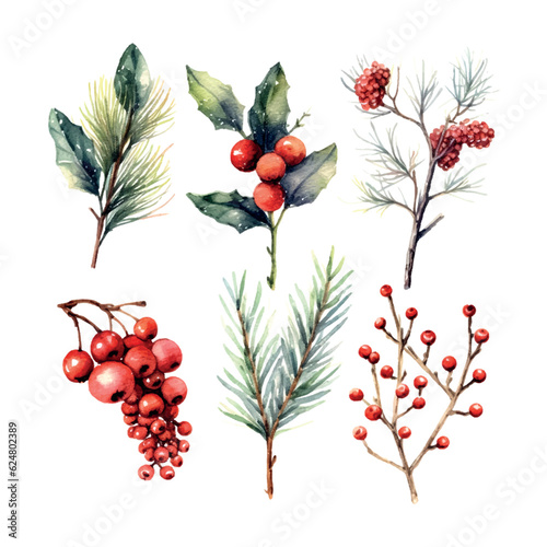 Retro christmas branch set watercolor, great design for any purposes. Vector botanical illustration.