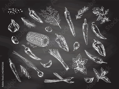 A set of hand-drawn sketches of  herbs, vegetables  and seasonings on chalkboard background. For the design of the menu of restaurants and cafes.