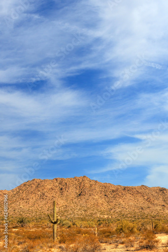 Sonora Desert Arizona