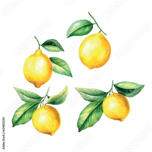 Lemon set watercolor, great design for any purposes.