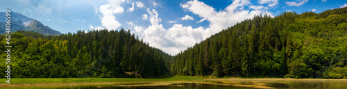 Idyllic, perfect place for vacation. Beautiful forest and mountains with lake. Sunny summer day. Panoramic landscape. Concept of nature aesthetics, travelling, beuaty. Wallaper, background.