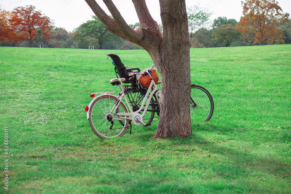 Bicycle in the park on a background of green grass and trees