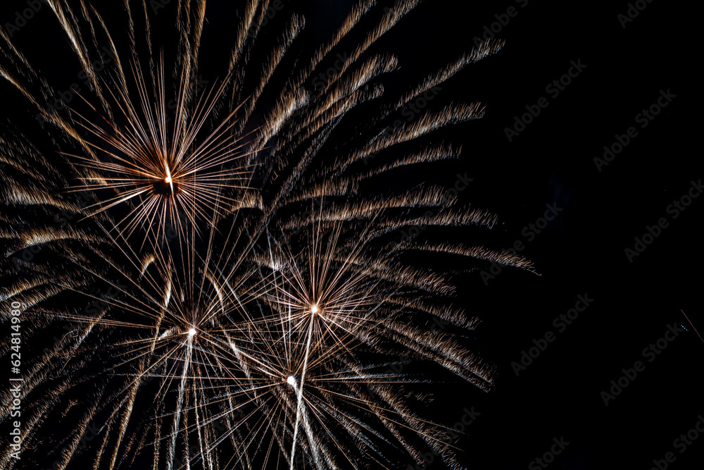 Bright fireworks on night sky Bright fireworks on night sky