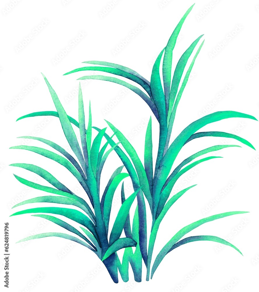 Watercolor leaves isolated, green tropical elements, white background