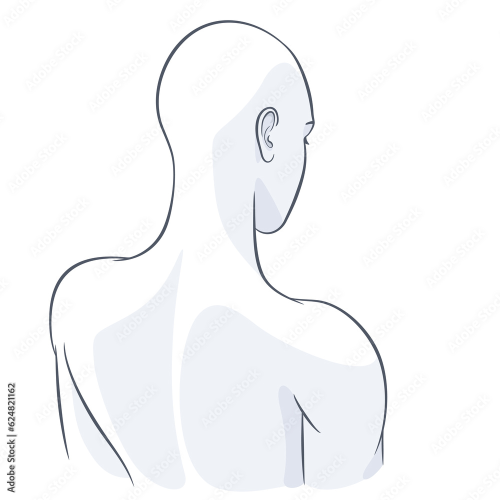 Bald beautiful woman body back view vector illustration Bald beautiful woman body back view vector illustration