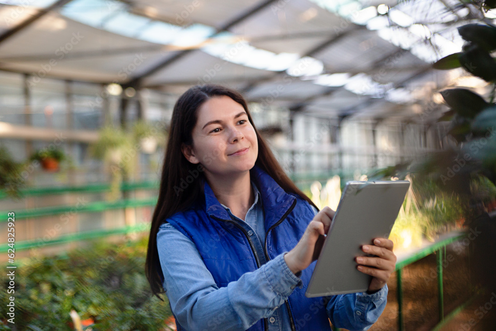 Fototapeta premium Woman working in greenhouse checking plants with tablet.