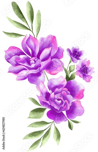 Fototapeta Naklejka Na Ścianę i Meble -  Watercolor Bouquet of flowers, isolated, white background, purple roses and green leaves