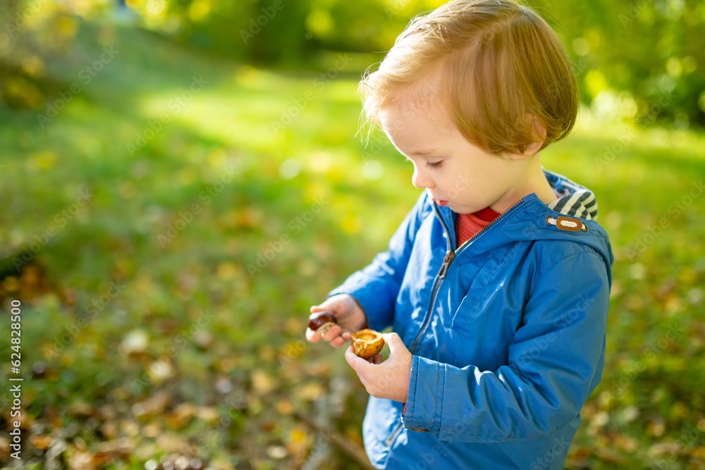 Funny toddler boy having fun outdoors on sunny autumn day. Child exploring nature. Kid playing in a city park. Autumn activities for kids. Funny toddler boy having fun outdoors on sunny autumn day. Child exploring nature. Kid playing in a city park. Autumn activities for kids.