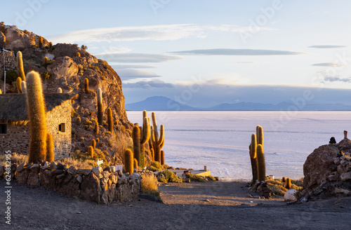 Isla Incahuasi at sunset with view on the biggest salt lake in the world, the Salar de Uyuni in the Bolivian highlands, the Altiplano in South America photo
