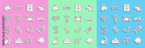 Set line Puffer fish, Fish skeleton, Rat, Bag of food, Giraffe head, Head goat or ram, Dog and Crab icon. Vector
