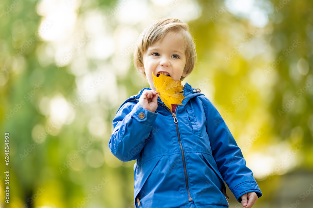 Funny toddler boy having fun outdoors on sunny autumn day. Child exploring nature. Kid playing in a city park. Autumn activities for kids. Funny toddler boy having fun outdoors on sunny autumn day. Child exploring nature. Kid playing in a city park. Autumn activities for kids.