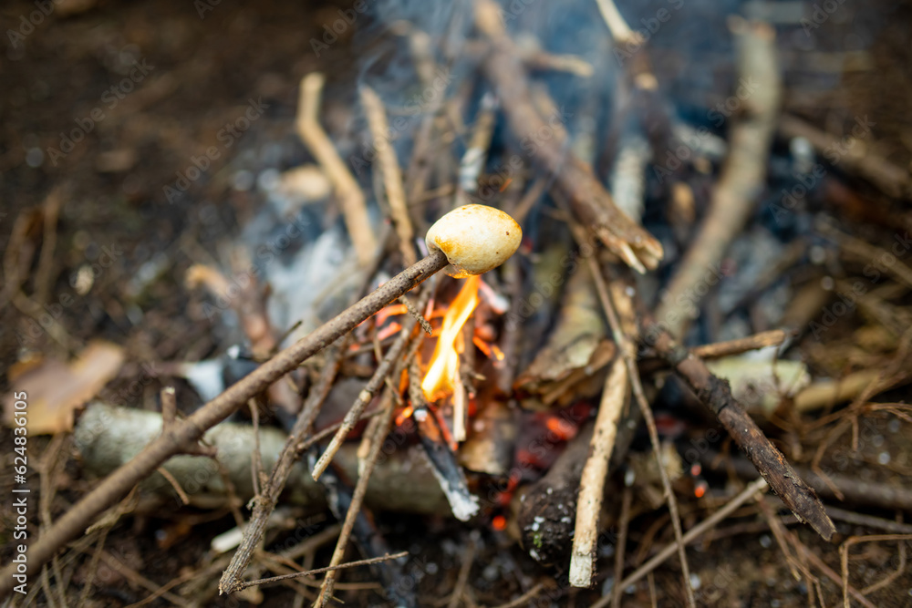 Roasting marshmallows on stick at bonfire. Having fun at camp fire. Roasting marshmallows on stick at bonfire. Having fun at camp fire.