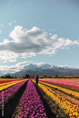 A person walk trough flower fileds in the Patagonia with mountains behind with a beautiful cloudy sky