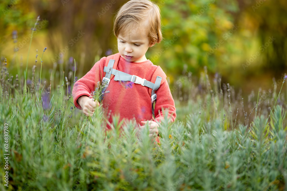 Funny toddler boy having fun outdoors on sunny autumn day. Child exploring nature. Kid playing in a city park. Autumn activities for kids. Funny toddler boy having fun outdoors on sunny autumn day. Child exploring nature. Kid playing in a city park. Autumn activities for kids.