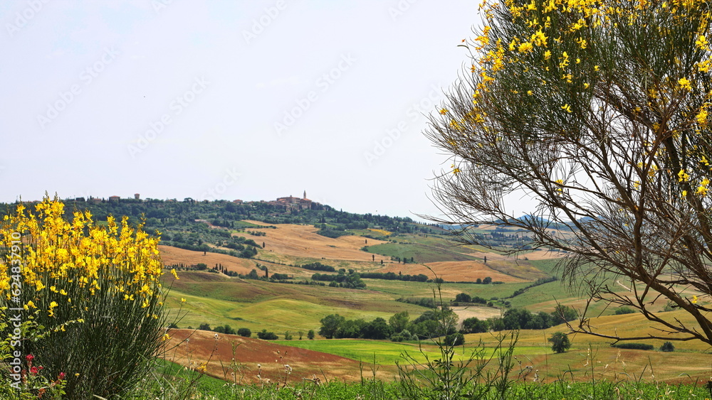 Tuscany Landscapes