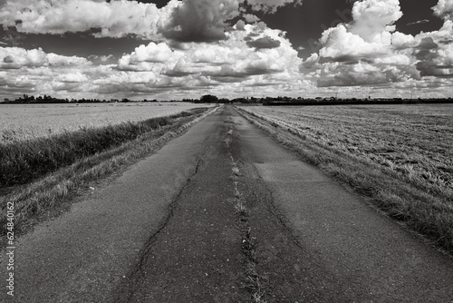 Monochrome view of a badly worn rural road caused by farm machinery. Seen against a dramatic summer sky.