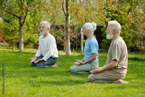 Side view of tranquil senior people sitting in yoga pose on green lawn while exercising in the morning in the garden of retirement home