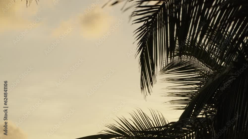 Palm tree silhouette against a tropical sunset on a paradise palm beach.