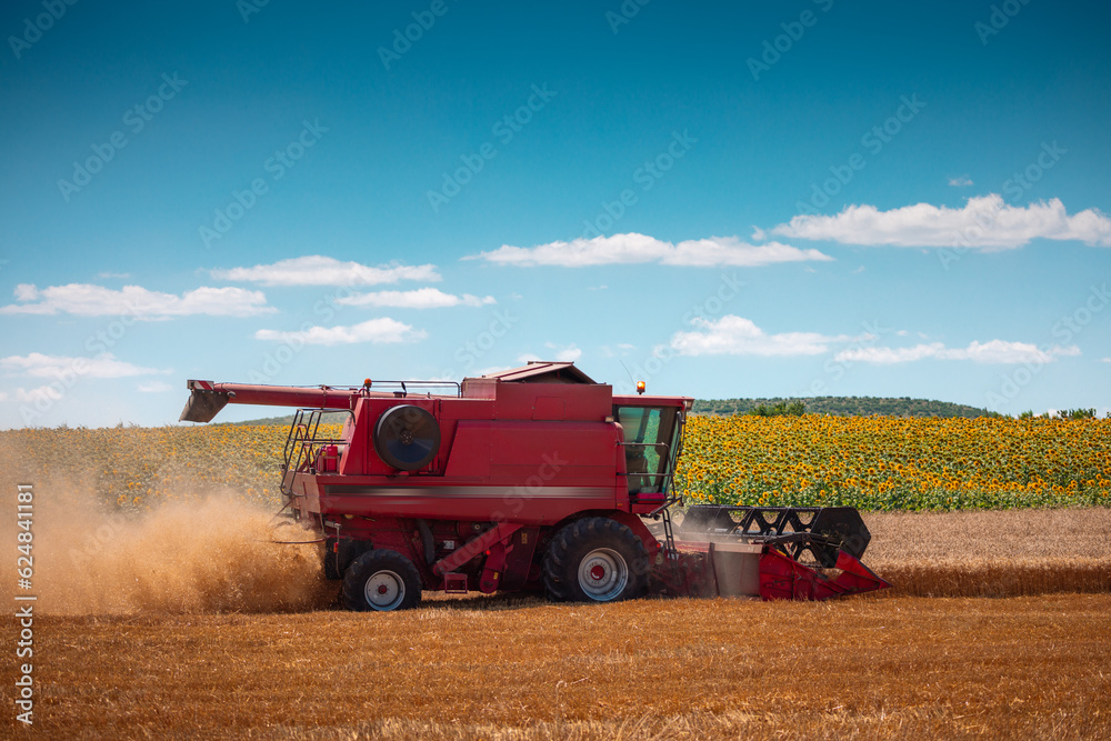 Fototapeta premium Combine harvester machine working in a wheat field