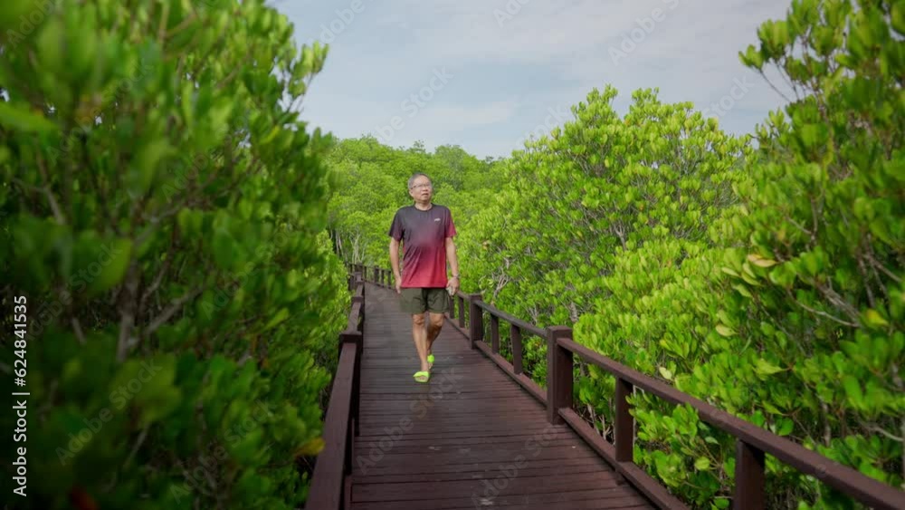 an elderly Asian man gracefully walks in shorts, at one with nature's rhythm. His seasoned presence harmonizes with the lush greenery, embodying wisdom and tranquility. High quality 4k