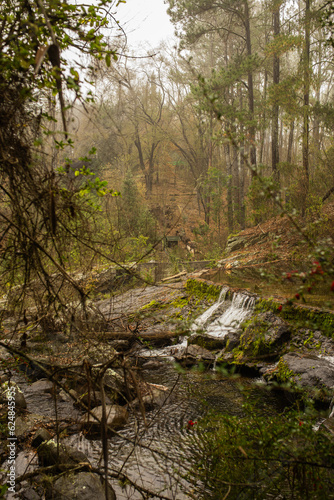 cascada en un rio del bosque © Emablom