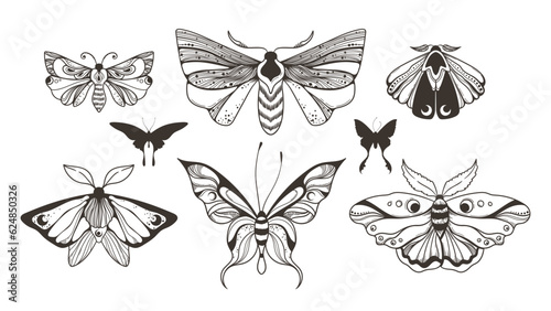 Mystical celestial moth and butterfly clipart bundle, magic black and white insects silhouettes in vector, unreal hand drawn night moth, isolated elements set