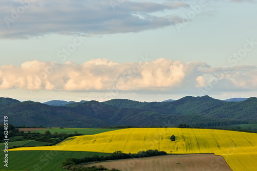Spring rural landscape with canola field and hills. Beautiful big cloud at sunset. Banovce, Slovakia