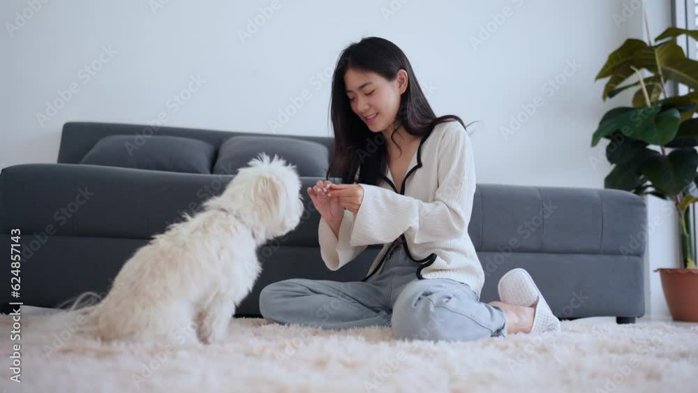 Loving moments: An Asian woman finds relaxation and playful joy as she spends quality time with her furry companion in the cozy confines of their bedroom. A delightful illustration of the bond between Loving moments: An Asian woman finds relaxation and playful joy as she spends quality time with her furry companion in the cozy confines of their bedroom. A delightful illustration of the bond between