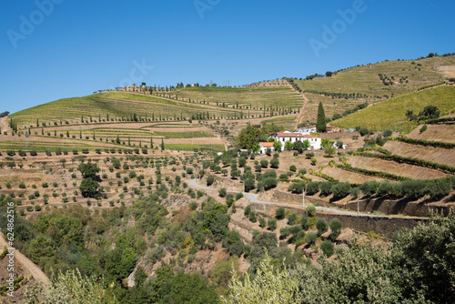 Quinta com Vinhas na Região do Rio Douro