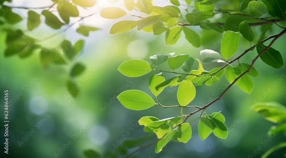 Closeup beautiful view of nature green leaves on blurred greenery tree background Closeup beautiful view of nature green leaves on blurred greenery tree background