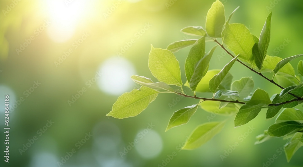 Closeup beautiful view of nature green leaves on blurred greenery tree background Closeup beautiful view of nature green leaves on blurred greenery tree background