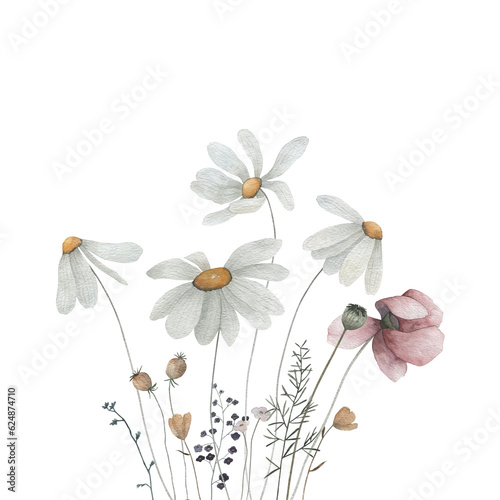 Watercolor print with delicate flowers, chamomile, poppy. Hand drawn floral illustration on white background.  Floral card