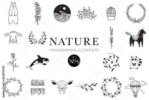 Handdrawn nature elements, Doodle illustrations, Natural drawings