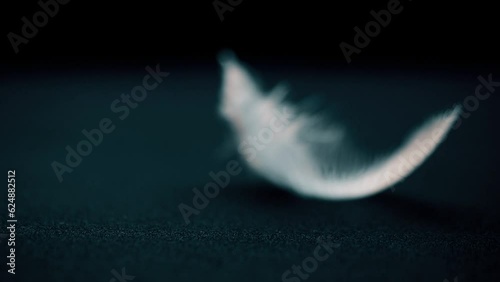 Feather of bird moves from the air flow on background. Super slow motion video concept in extreme macro details. Background for music video or as illustration of life path. Place for text. Copy space