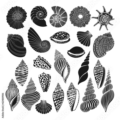 Shells. Hand drawn vector big collection, isolated silhouette elements on white background. Perfect for decoration, invitation, card, poster and as a design element.