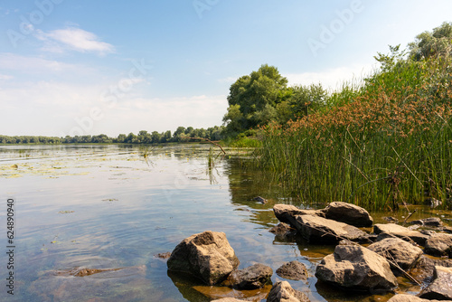 Summer sunny landscape. Rest by the river.