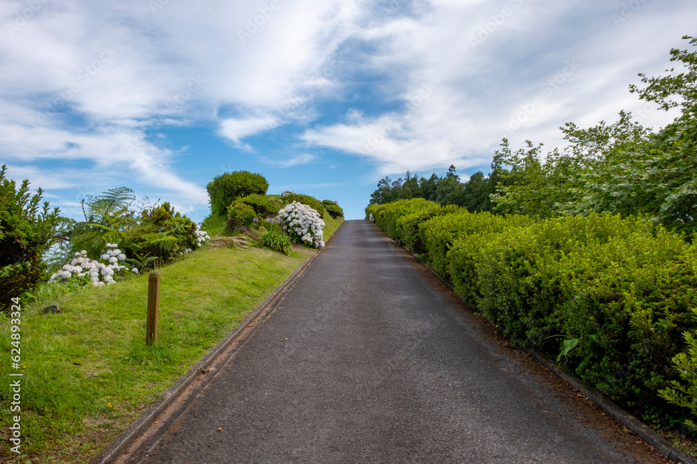 Empty road with green bushes and white hydrangeas with blue sky and white clouds in Furnas, Sao Miguel island in the Azores.