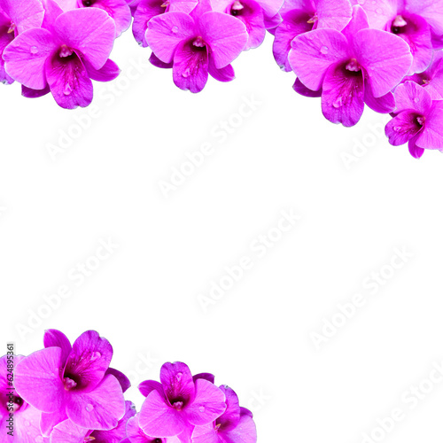 frame made of colorful flowers white background